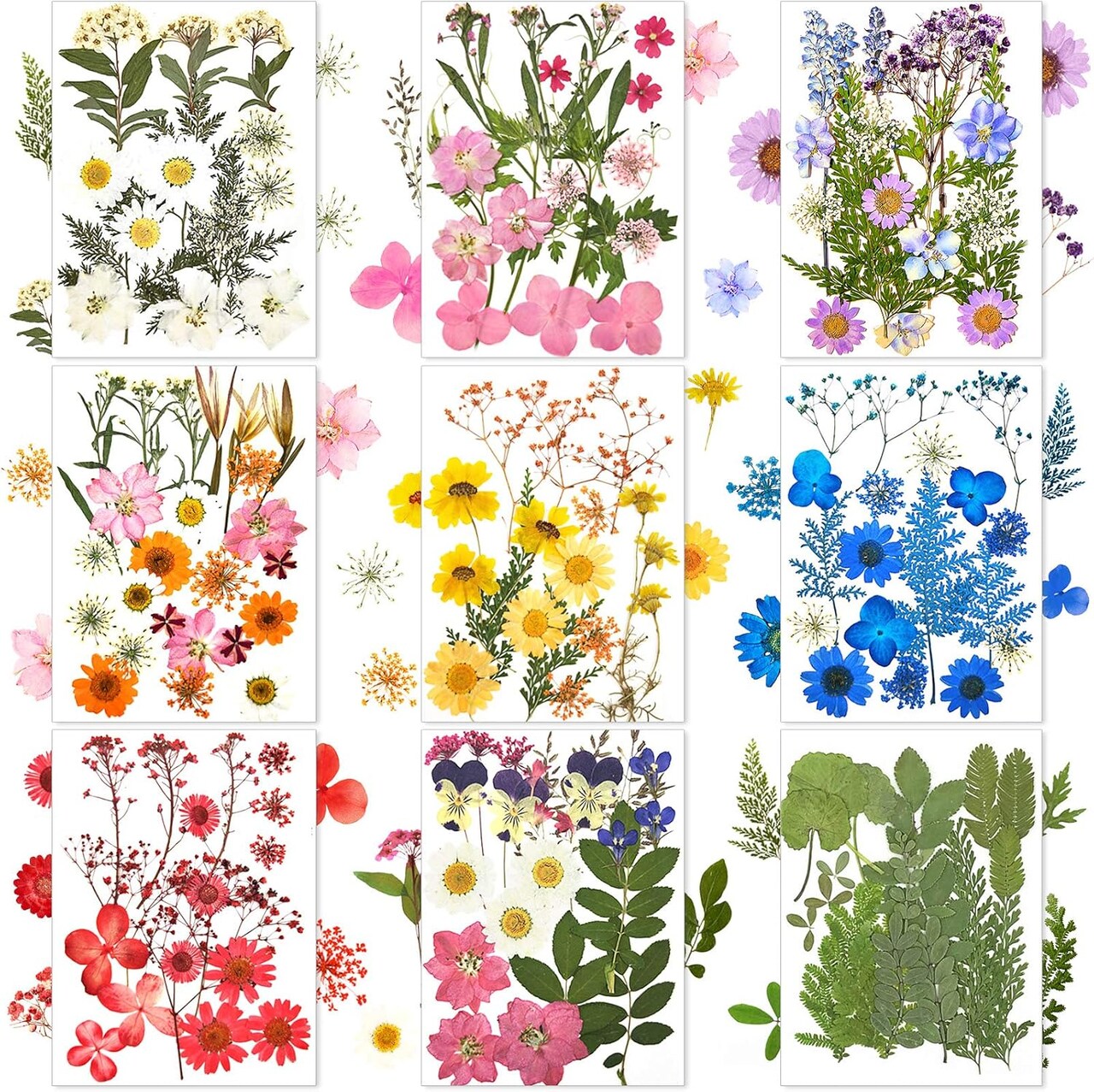 167-Piece Dried Pressed Flowers for Crafts – Multicolor Natural Daisy & Wildflowers for Resin, Candle, Soap, Jewelry, Nail Art, Scrapbooking & DIY Projects (Fresh Color)